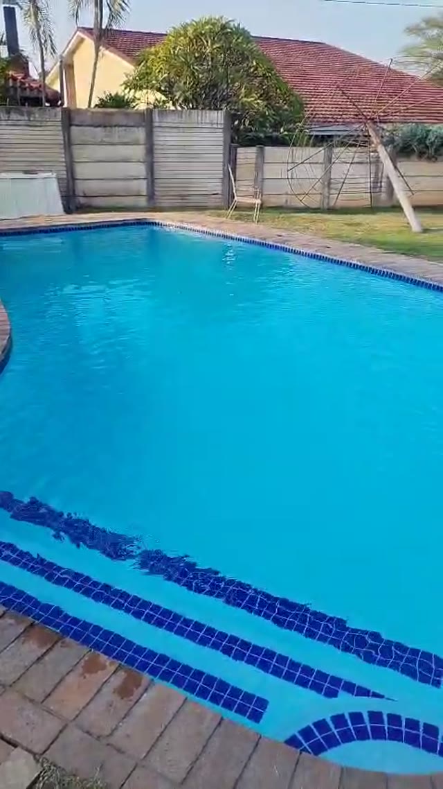 Pool build footage